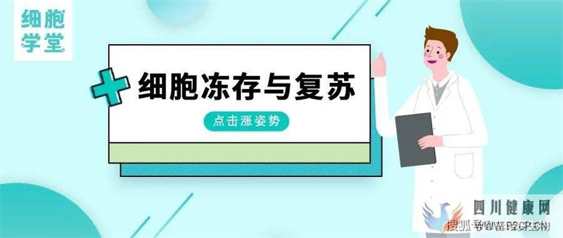 细胞学堂细胞冻存与复苏的技术原理和操作步骤(干细胞冻存价格)(图1)