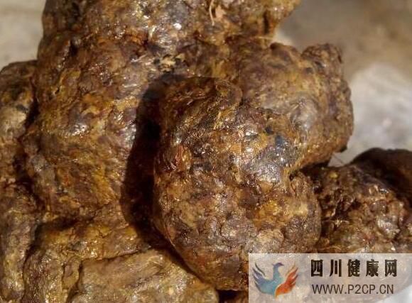 蜂胶泡酒能治什么病蜂胶泡酒有什么功效(干细胞都治什么病)(图1) 蜂胶泡酒能治什么病蜂胶泡酒有什么功效(干细胞都治什么病)(图1)