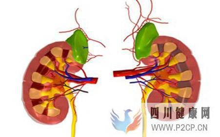 糖尿病肾病的症状有哪些？(图1)