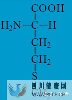 谷氨酸、GABA和甘氨酸能神经及受体(图1)