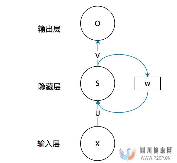 一文搞懂RNN(循环神经网络)基础篇(图2)