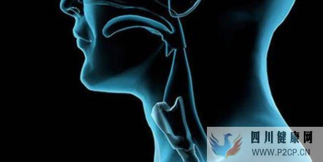 喉上神经痛，指喉上神经分布区域反复发作的一种十分罕见的神经痛(图1)