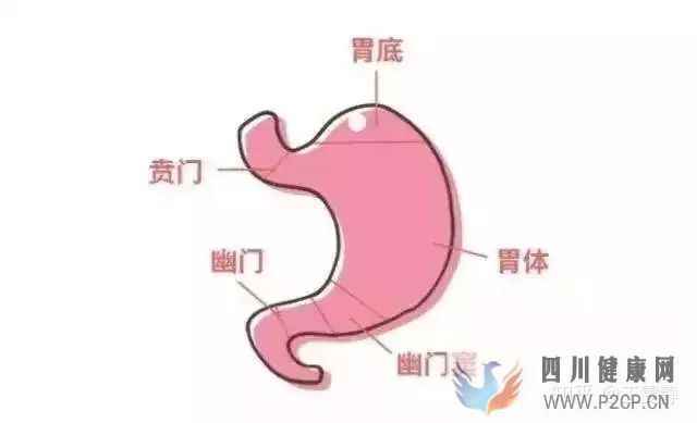 胃不好消化科医生推荐6个养胃秘籍(图1)