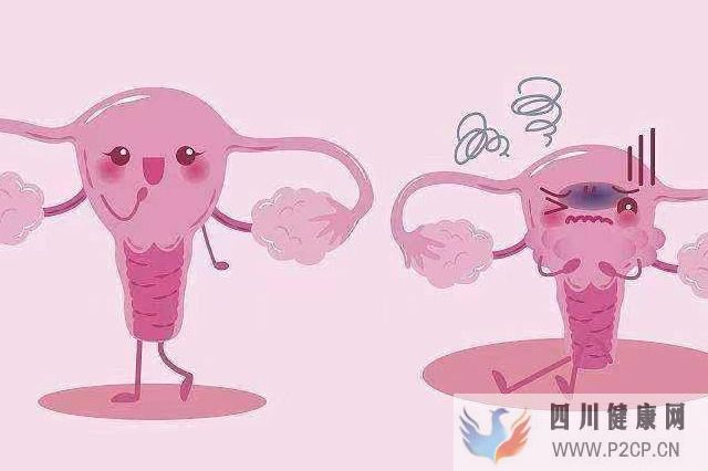 外阴白斑的临床表现有什么(图1) 外阴白斑的临床表现有什么(图1)