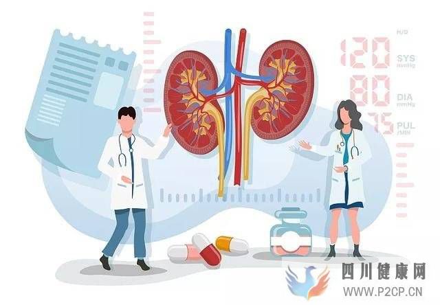 中科西部细胞：干细胞疗法——肾脏疾病的潜在治疗选择(图1)