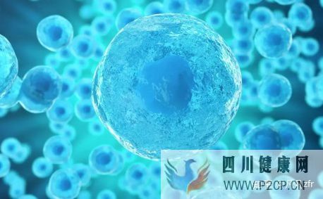 解密黑科技干细胞到底能不能打干细胞的副作用和...(图2) 解密黑科技干细胞到底能不能打干细胞的副作用和...(图2)