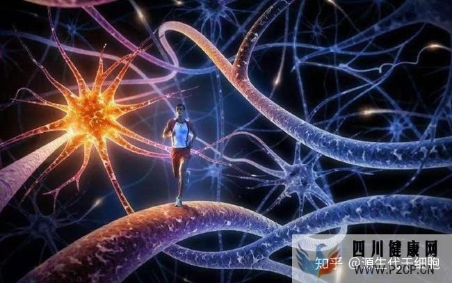 聊聊博鳌干细胞的政策(图5) 聊聊博鳌干细胞的政策(图5)