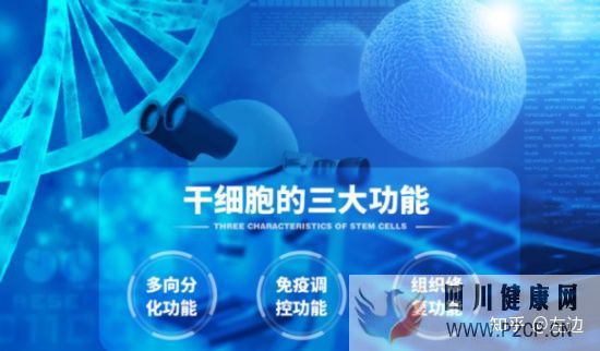 打了干细胞什么时候出效果、干细胞打几次有效(图4) 打了干细胞什么时候出效果、干细胞打几次有效(图4)