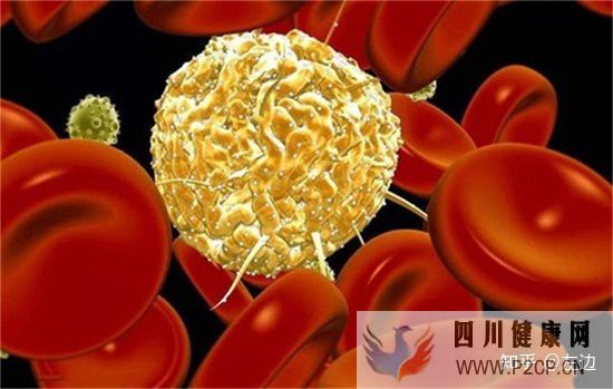 打了干细胞什么时候出效果、干细胞打几次有效(图5) 打了干细胞什么时候出效果、干细胞打几次有效(图5)