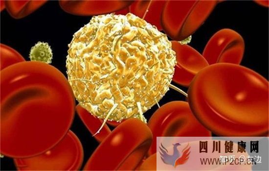 打了干细胞什么时候出效果、干细胞打几次有效(图6) 打了干细胞什么时候出效果、干细胞打几次有效(图6)