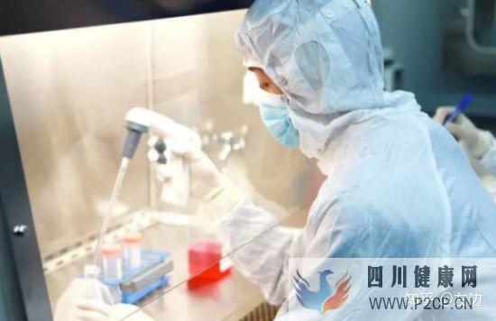 打了干细胞什么时候出效果、干细胞打几次有效(图9) 打了干细胞什么时候出效果、干细胞打几次有效(图9)