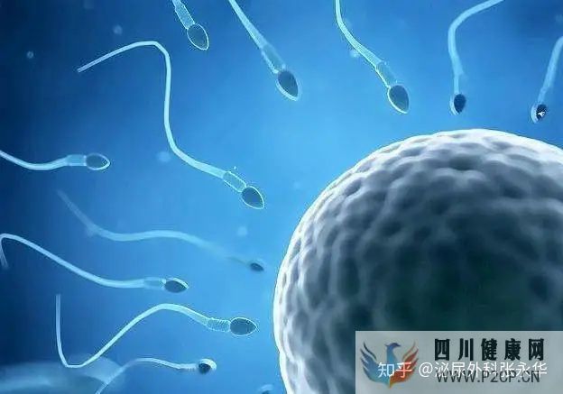 男性不育常见的七个误区,你都知道吗(图1) 男性不育常见的七个误区,你都知道吗(图1)