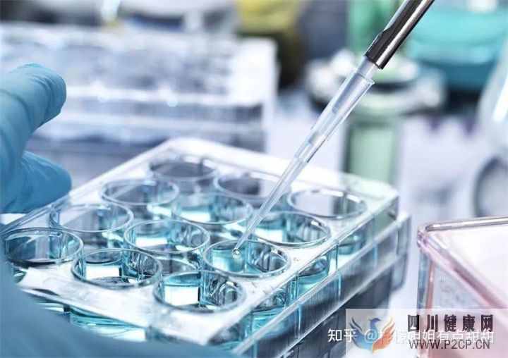20万一针的干细胞值得吗、深扒打干细胞的好处和坏处~(图1) 20万一针的干细胞值得吗、深扒打干细胞的好处和坏处~(图1)