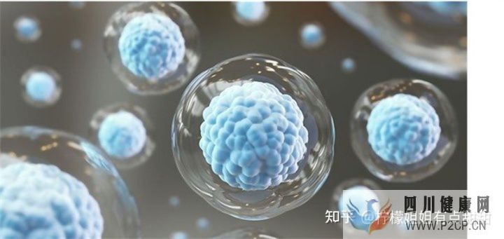 20万一针的干细胞值得吗、深扒打干细胞的好处和坏处~(图3)