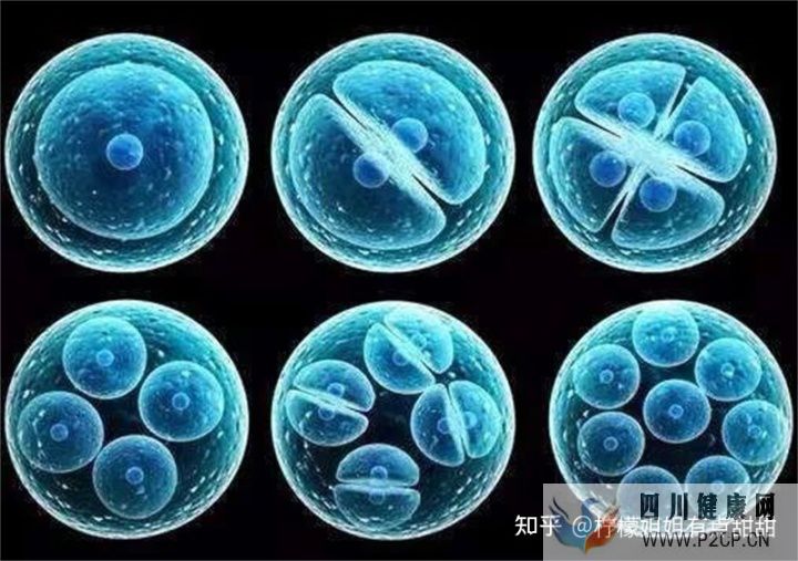 20万一针的干细胞值得吗、深扒打干细胞的好处和坏处~(图7) 20万一针的干细胞值得吗、深扒打干细胞的好处和坏处~(图7)