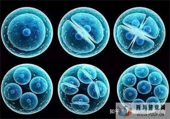 20万一针的干细胞值得吗、深扒打干细胞的好处和坏处~(图8)