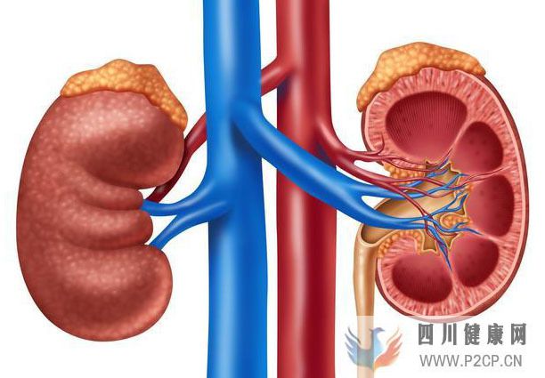 女子肾病花了几十万为何发生尿毒症？如何控制肾病并保持稳定？(图1)