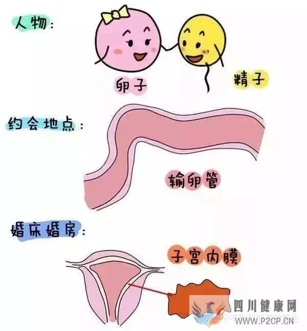 不孕症有哪些常见症状(图1)
