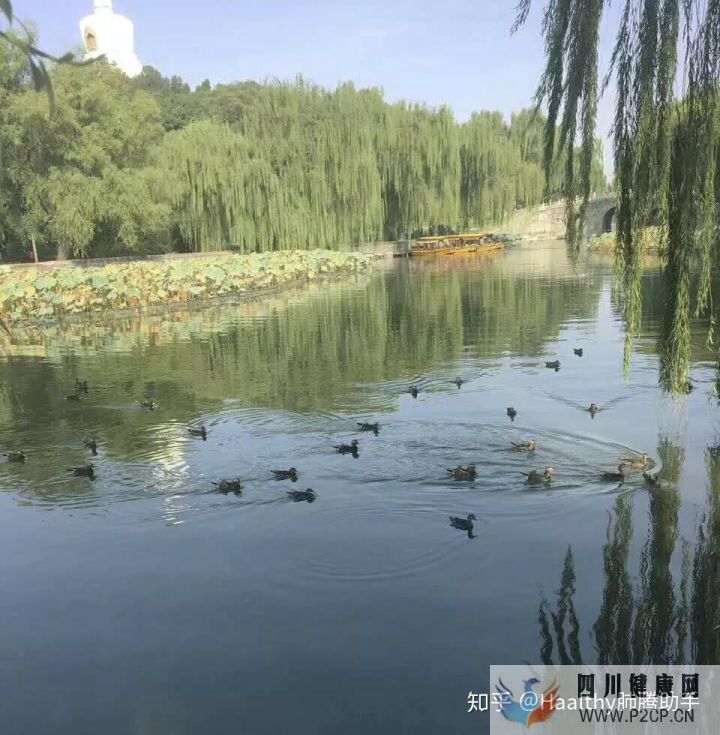 病友故事抗癌不易,愿所有人都能做自己的英雄(图2) 病友故事抗癌不易,愿所有人都能做自己的英雄(图2)
