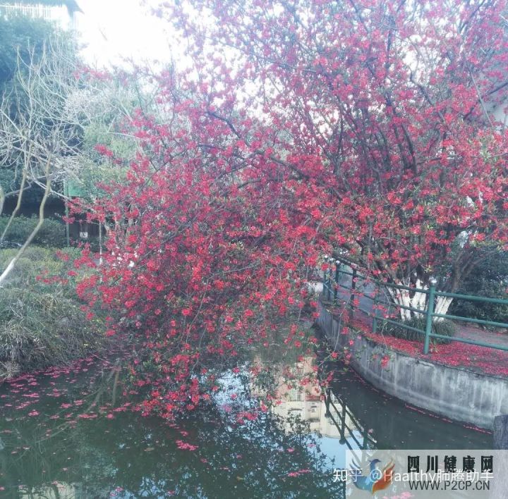 病友故事抗癌不易,愿所有人都能做自己的英雄(图8) 病友故事抗癌不易,愿所有人都能做自己的英雄(图8)