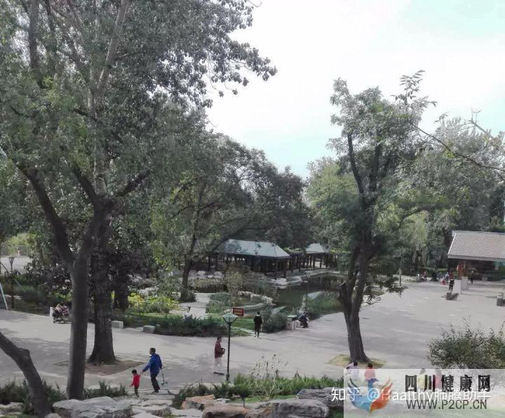 病友故事抗癌不易,愿所有人都能做自己的英雄(图9) 病友故事抗癌不易,愿所有人都能做自己的英雄(图9)