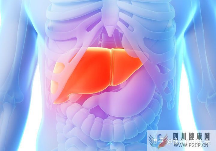 肝病是多发疾病,平时要如何养肝护肝(图2)