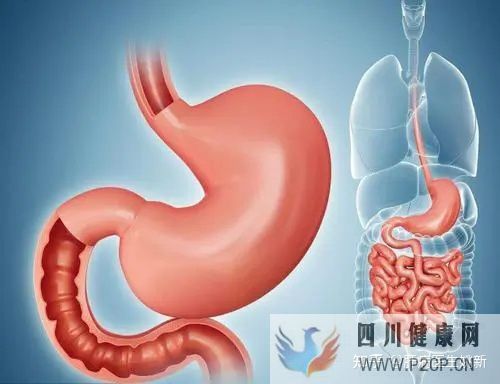 肝病早期的五大症状(图4) 肝病早期的五大症状(图4)