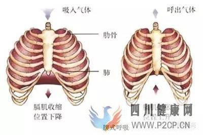 呼吸在拉伸的重要性教你如何正确呼吸(图1)