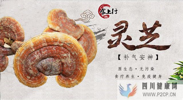 究竟什么叫养生,何以为养生(图12) 究竟什么叫养生,何以为养生(图12)