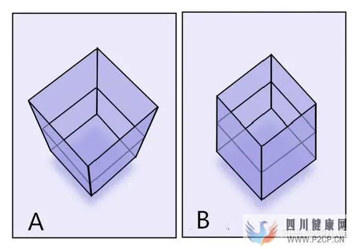 男生阴茎的五个小秘密(图5)