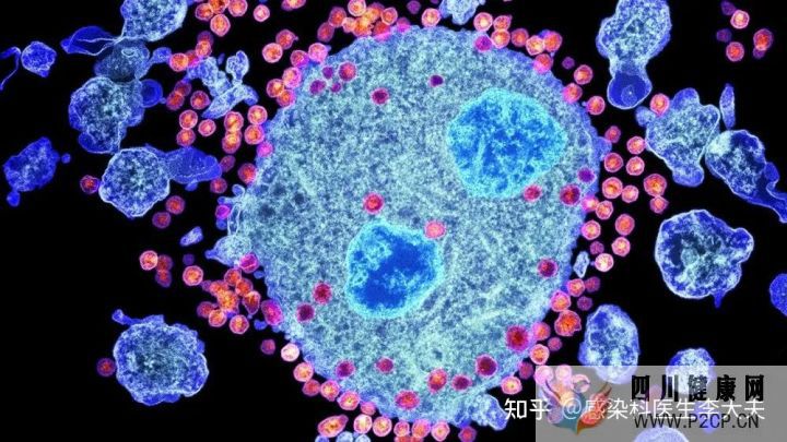 如果不幸感染“艾滋”,身体会有哪些症状(图2) 如果不幸感染“艾滋”,身体会有哪些症状(图2)
