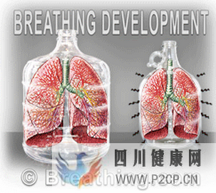 如何优雅地呼吸一篇文章讲清楚呼吸和体态(图7)