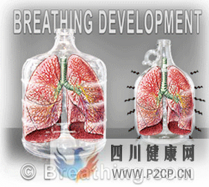 如何优雅地呼吸一篇文章讲清楚呼吸和体态(图7) 如何优雅地呼吸一篇文章讲清楚呼吸和体态(图7)