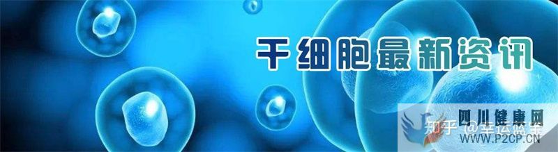 关于干细胞填充要做几次,干细胞填充一般多久才看到...(图3) 关于干细胞填充要做几次,干细胞填充一般多久才看到...(图3)