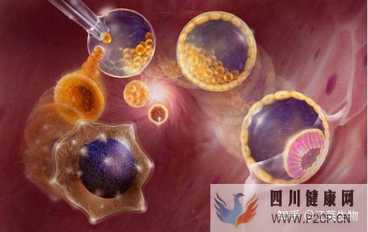 一针60万“胚胎干细胞针”妄想长生不老(图5) 一针60万“胚胎干细胞针”妄想长生不老(图5)