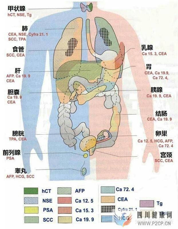 不是所有人都可以打干细胞!肿瘤标志物超标就绝对不...(图4)