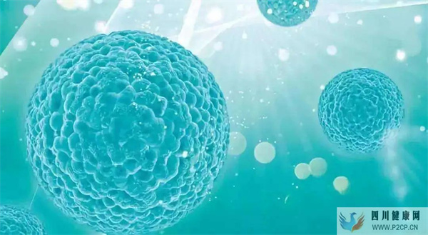 未来干细胞的四大应用方向(图1)