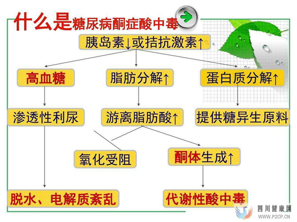 面对可怕的糖尿病酮症酸中毒,糖友应该怎么做?(图1) 面对可怕的糖尿病酮症酸中毒,糖友应该怎么做?(图1)