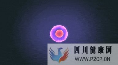 简述干细胞的五项作用(图4) 简述干细胞的五项作用(图4)