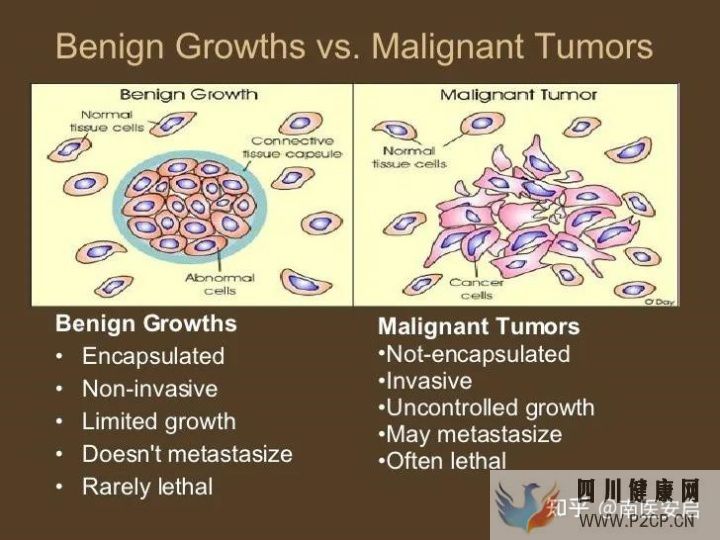 干细胞的作用和功效干细胞是如何帮助人们抗衰老(图1)