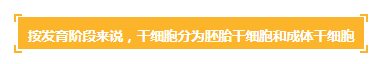 各种干细胞到底有何作用(图1) 各种干细胞到底有何作用(图1)