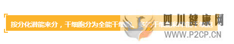 各种干细胞到底有何作用(图7) 各种干细胞到底有何作用(图7)