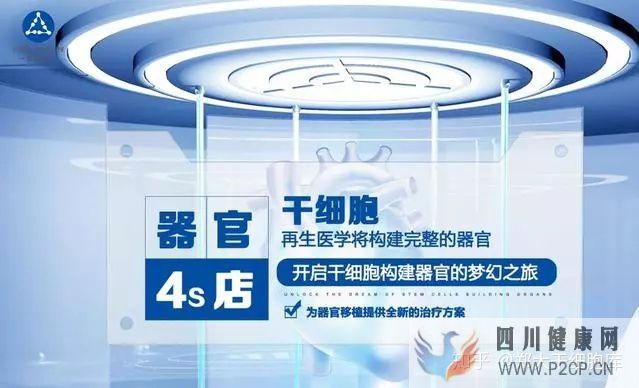 干细胞简介——什么是干细胞(图5) 干细胞简介——什么是干细胞(图5)