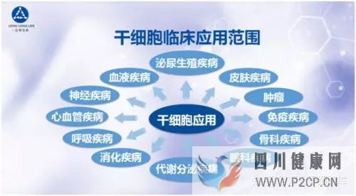 干细胞简介——什么是干细胞(图9) 干细胞简介——什么是干细胞(图9)