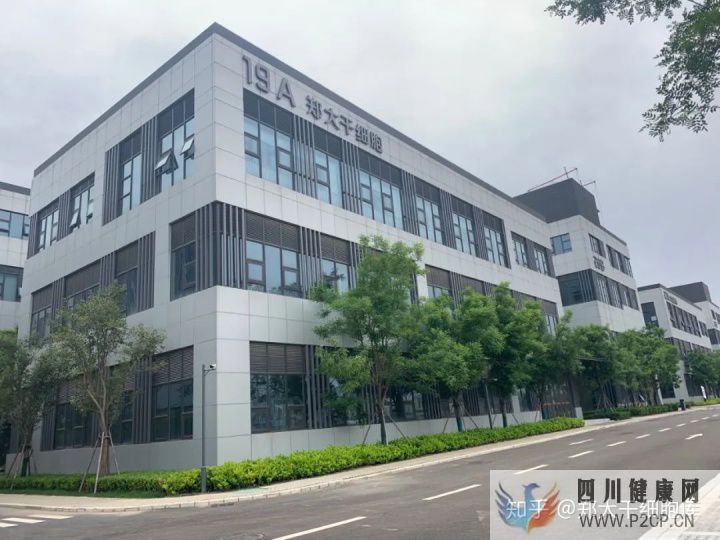 干细胞简介——什么是干细胞(图11) 干细胞简介——什么是干细胞(图11)