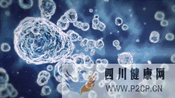 干细胞对身体的几大作用(图1) 干细胞对身体的几大作用(图1)
