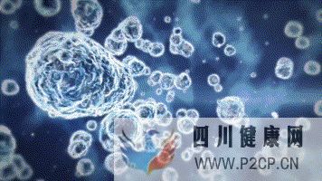 干细胞对身体的几大作用(图2) 干细胞对身体的几大作用(图2)