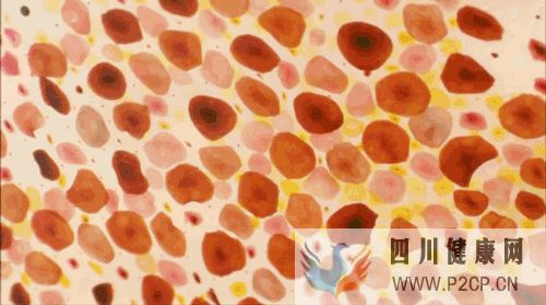 干细胞对身体的几大作用(图8) 干细胞对身体的几大作用(图8)
