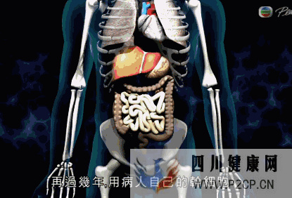 干细胞对身体的几大作用(图9) 干细胞对身体的几大作用(图9)