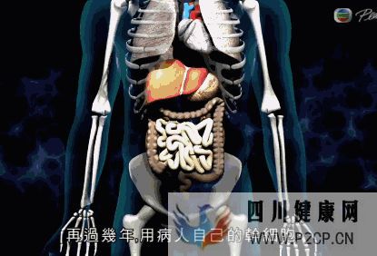 干细胞对身体的几大作用(图10) 干细胞对身体的几大作用(图10)